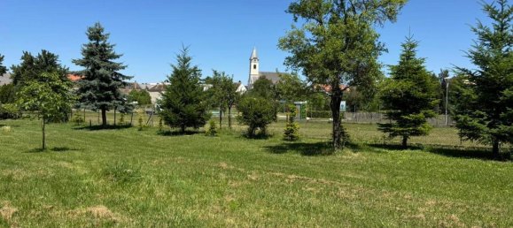 Земельный участок в Хорнштайн, Австрия № 138252 5