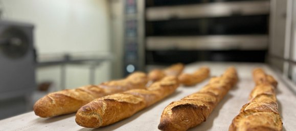 220m² Commercial property in Sommerviller, France No. 87890 4