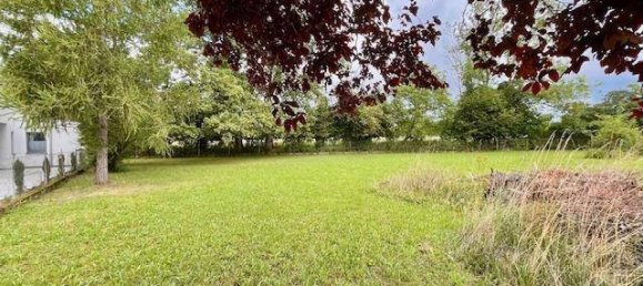 Land in Wels, Austria No. 160973 4