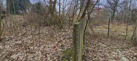  قطعة أرض في Saxony, Germany رقم 129510 6