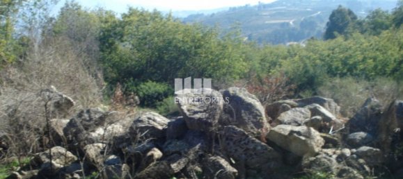 Grundstück in Baiao, Portugal 5100m², Nr. 52224 7