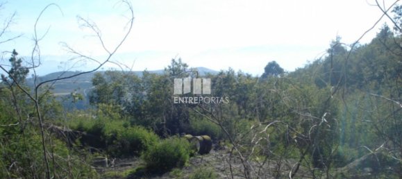 Grundstück in Baiao, Portugal 5100m², Nr. 52224 6