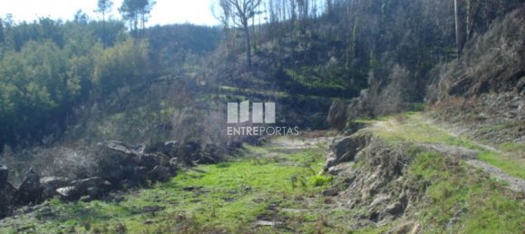 Grundstück in Baiao, Portugal 5100m², Nr. 52224 4