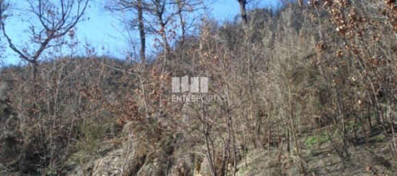 Grundstück in Baiao, Portugal 5100m², Nr. 52224 5