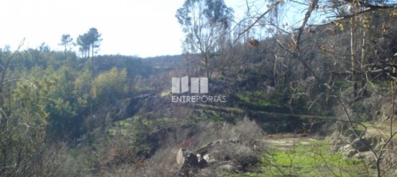 Grundstück in Baiao, Portugal 5100m², Nr. 52224 2