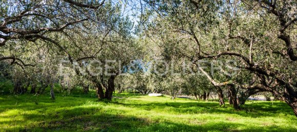 6 Schlafzimmer Villa in Naso, Italy, Nr. 132419 9