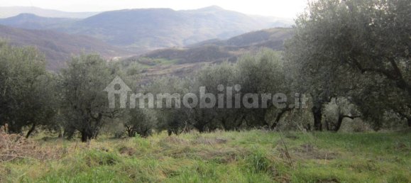 2 bedrooms House in Molise, Italy No. 342521 18