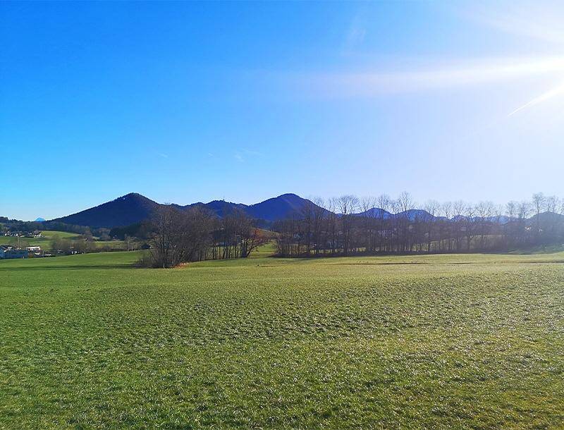 468m² Land in Koppl, Austria No. 70836