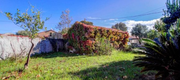 8 Schlafzimmer Haus in Prunelli-di-Fiumorbo, France, Nr. 86706 16