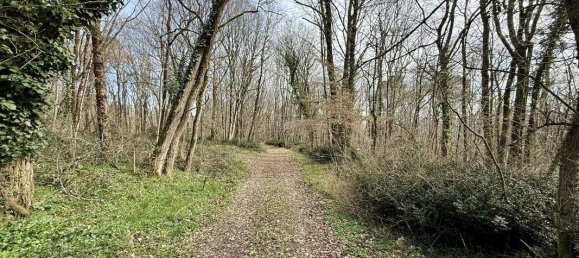 3 bedrooms House in Dordogne, France No. 340985 19