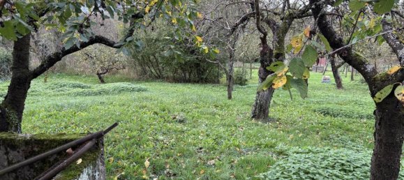 7غرفة بناية في Rohrbach-les-Bitche, France رقم 152466 4