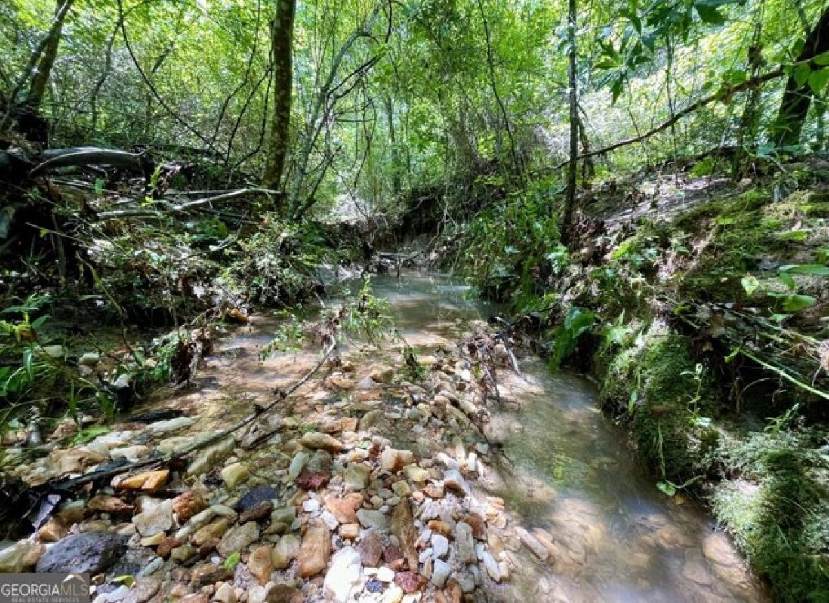 Terreno em Newnan, USA N.º 531401