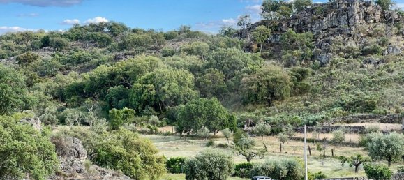 15 غرف نوم منزل في Beira, Portugal رقم 67528 5