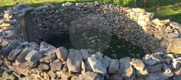 15 غرف نوم منزل في Beira, Portugal رقم 67528 19