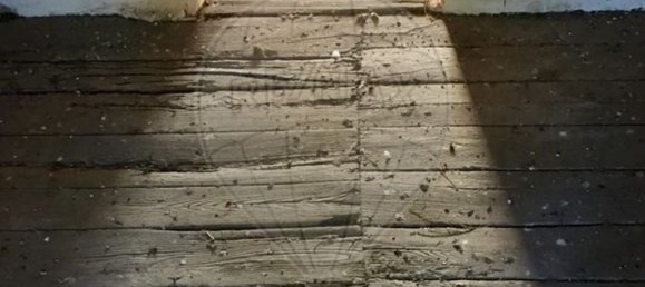 15 غرف نوم منزل في Beira, Portugal رقم 67528 24