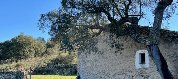 15 غرف نوم منزل في Beira, Portugal رقم 67528 18