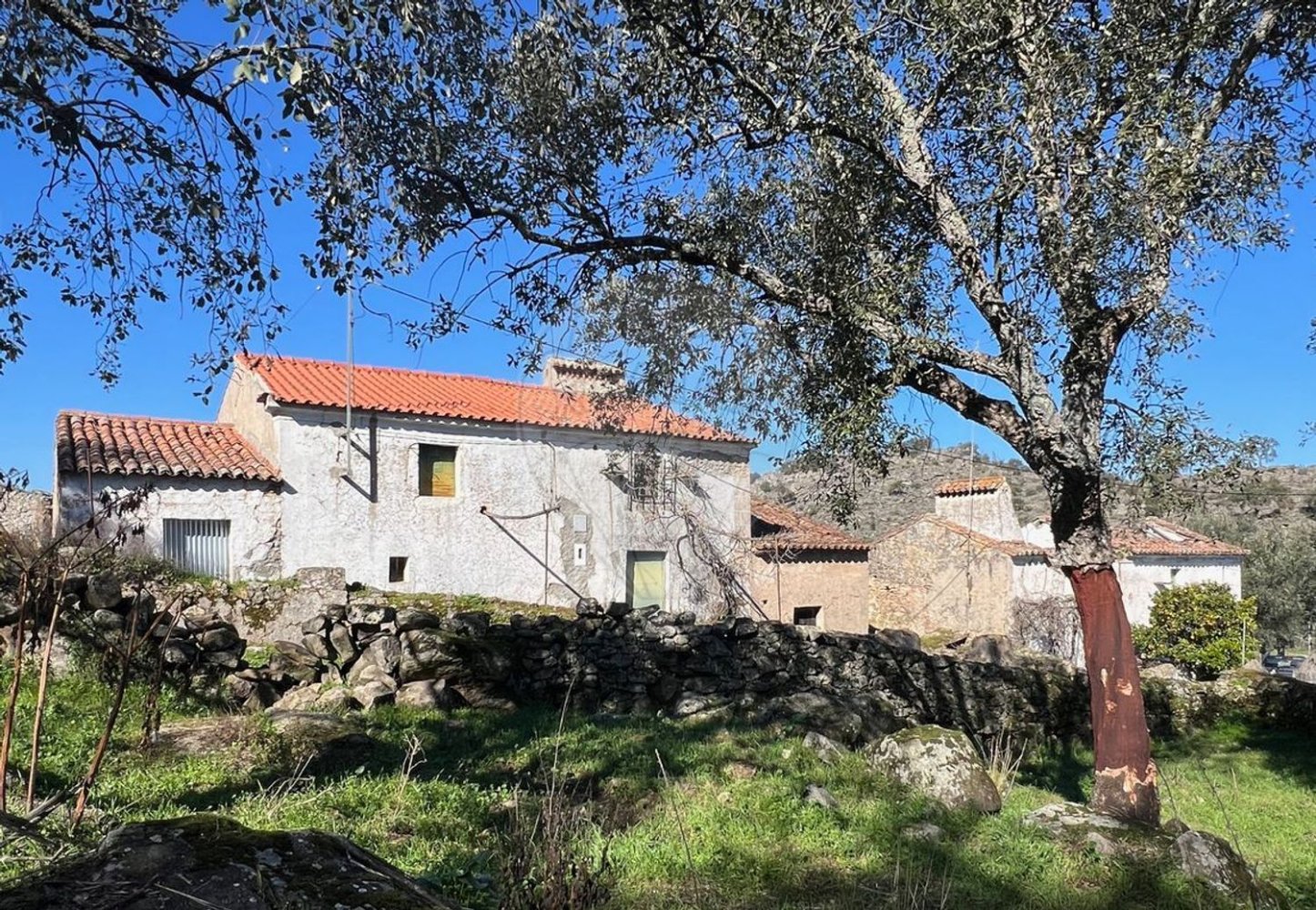 15 غرف نوم منزل في Beira, Portugal رقم 67528