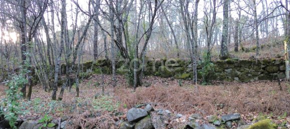 قطعة أرض في Calde, Portugal رقم 91220 11