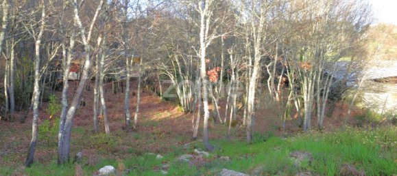 قطعة أرض في Calde, Portugal رقم 91220 5