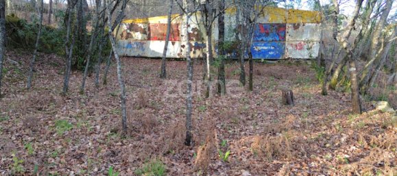 قطعة أرض في Calde, Portugal رقم 91220 6