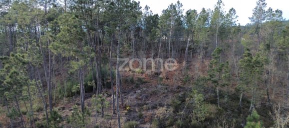 قطعة أرض في Calde, Portugal رقم 91220 2