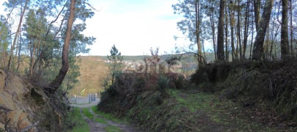 قطعة أرض في Calde, Portugal رقم 91220 14