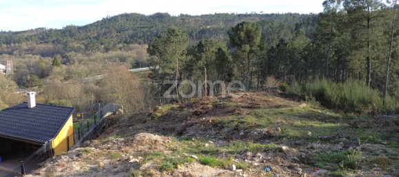 قطعة أرض في Calde, Portugal رقم 91220 4