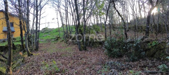 قطعة أرض في Calde, Portugal رقم 91220 8