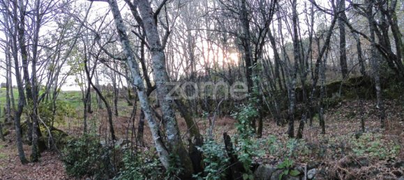 قطعة أرض في Calde, Portugal رقم 91220 9