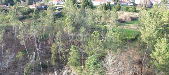 قطعة أرض في Calde, Portugal رقم 91220 15