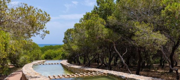 2 bedrooms Bungalow in Torrevieja, Spain No. 178219 29