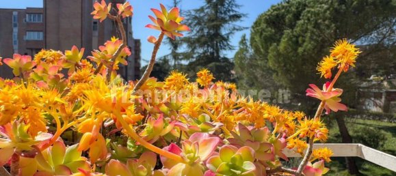 3 bedrooms Apartment in Siena, Italy No. 15222 46