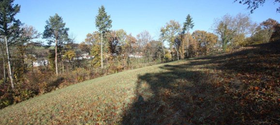  Land in Bad Tatzmannsdorf, Austria No. 242979 5