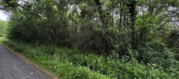  قطعة أرض في Haute-Garonne, France 6000متر مربع رقم 334161 2