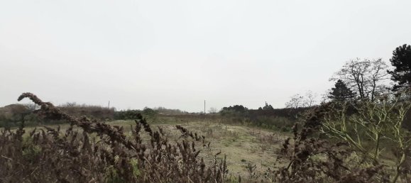 Grundstück in Hagenbrunn, Austria 26024m², Nr. 40656 2