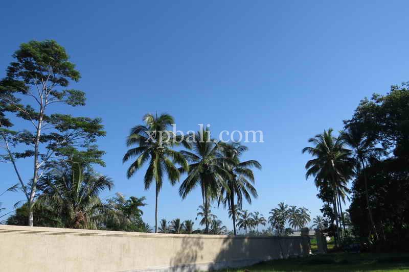 Grundstück in Ubud, Indonesia 3930m², Nr. 3849