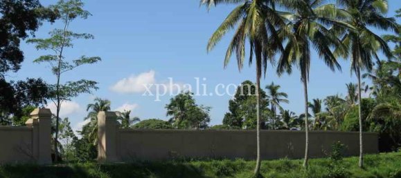 Grundstück in Ubud, Indonesia 3930m², Nr. 3849 9