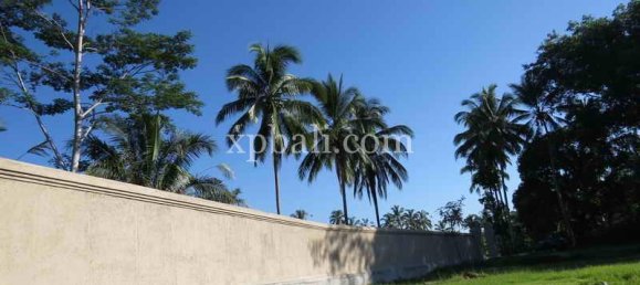 Grundstück in Ubud, Indonesia 3930m², Nr. 3849 2