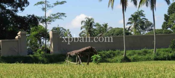 Grundstück in Ubud, Indonesia 3930m², Nr. 3849 12