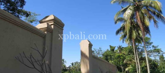 Grundstück in Ubud, Indonesia 3930m², Nr. 3849 14