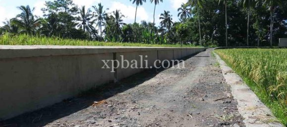 Grundstück in Ubud, Indonesia 3930m², Nr. 3849 10