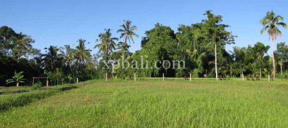 Grundstück in Ubud, Indonesia 3930m², Nr. 3849 4