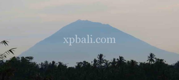 Grundstück in Ubud, Indonesia 3930m², Nr. 3849 16