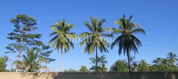 Grundstück in Ubud, Indonesia 3930m², Nr. 3849 3