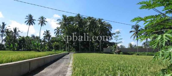 Grundstück in Ubud, Indonesia 3930m², Nr. 3849 11