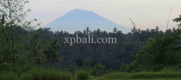 Grundstück in Ubud, Indonesia 3930m², Nr. 3849 17