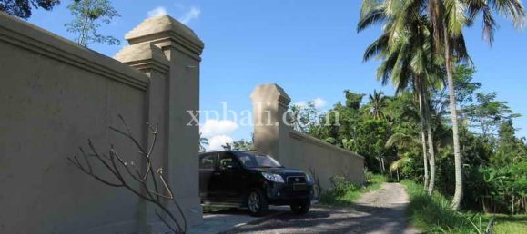 Grundstück in Ubud, Indonesia 3930m², Nr. 3849 6