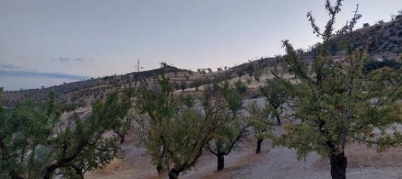 60500m² Land in Granada, Spain No. 134786 4