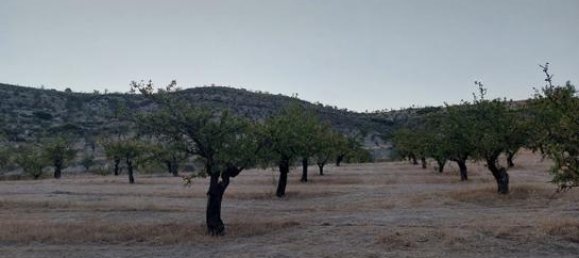 60500m² Land in Granada, Spain No. 134786 6