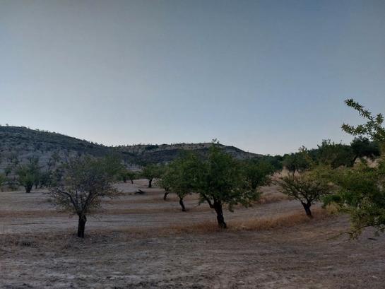 60500m² Land in Granada, Spain No. 134786